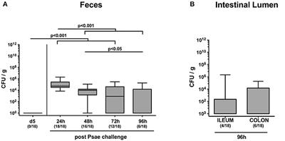 Multidrug-Resistant Pseudomonas aeruginosa Accelerate Intestinal, Extra-Intestinal, and Systemic Inflammatory Responses in Human Microbiota-Associated Mice With Subacute Ileitis